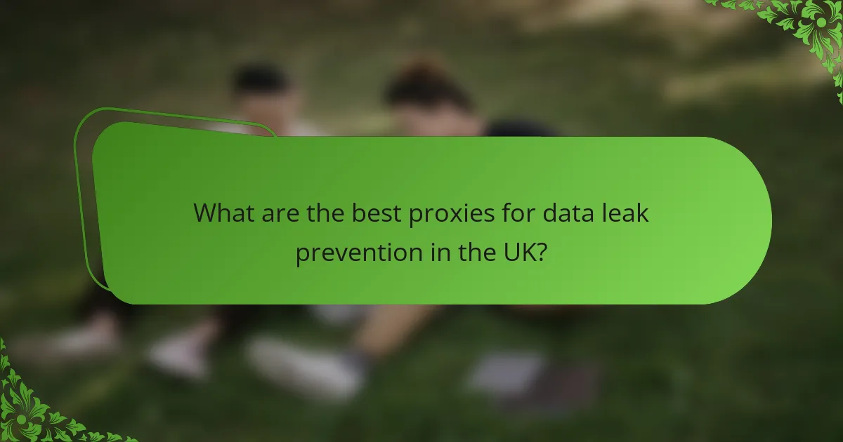 What are the best proxies for data leak prevention in the UK?