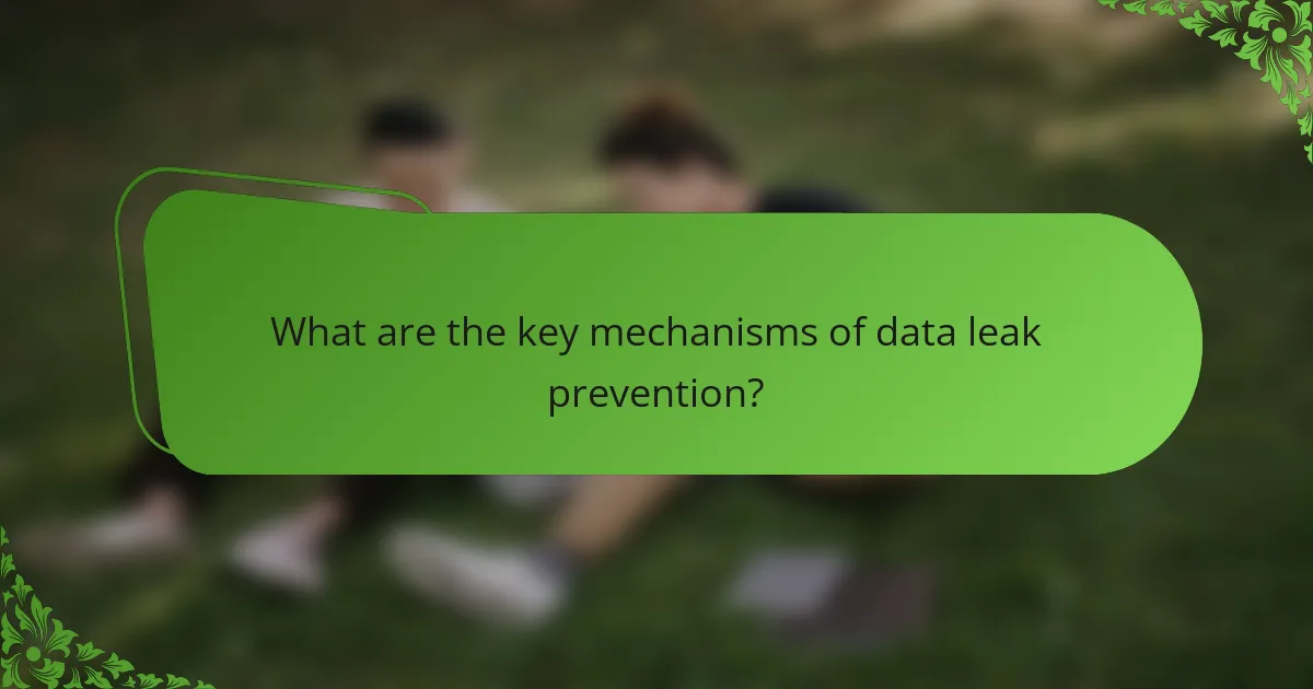 What are the key mechanisms of data leak prevention?